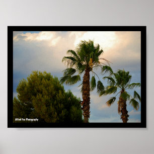 Tropical Palm Twilight Poster