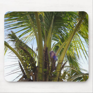 Tropical Palms Mouse Pad