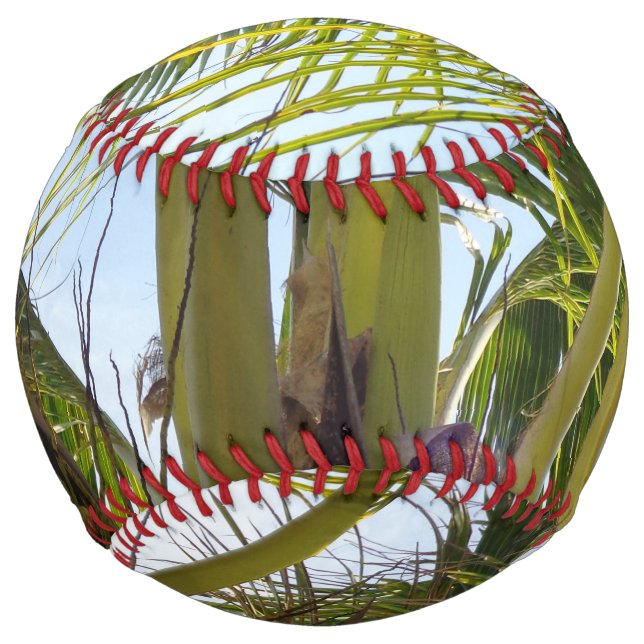 Tropical Palms Softball (Front)