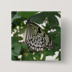 Tropical Paper Kite Butterfly Button