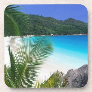 Tropical Paradise Beach Coaster Set