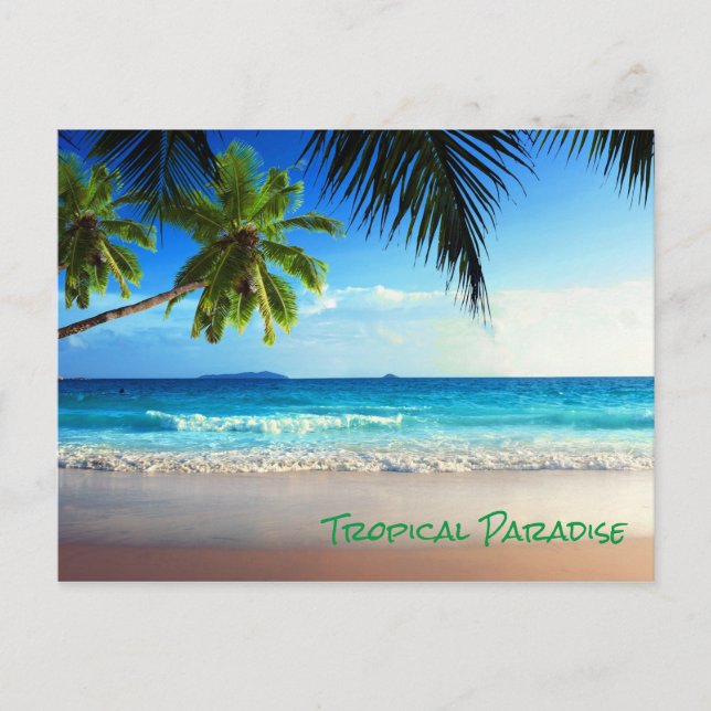Tropical Paradise Beach Postcard (Front)