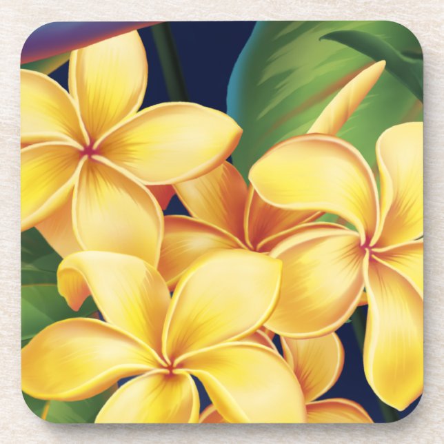 Tropical Paradise Hawaiian Floral Coasters (Front)