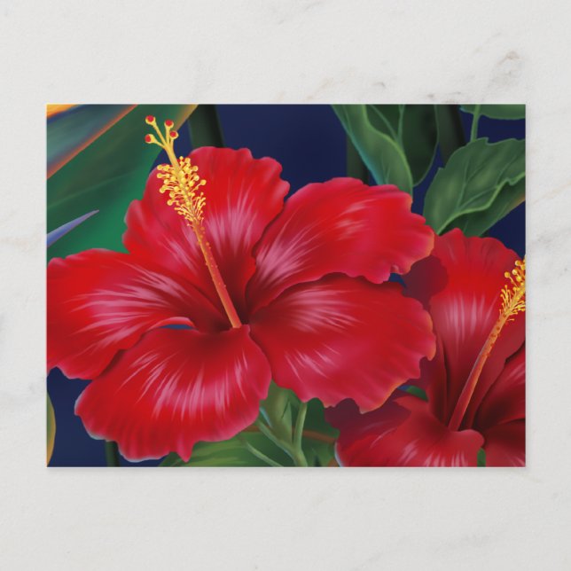 Tropical Paradise Hibiscus Postcard (Front)