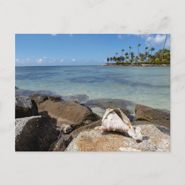 Tropical Paradise Postcard (Front)