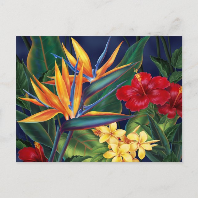 Tropical Paradise Postcard (Front)