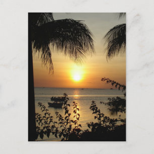 Tropical Paradise Postcard