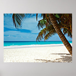 Tropical Paradise Poster