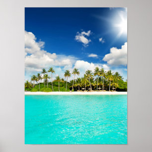 Tropical Paradise Poster