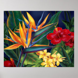 Tropical Paradise Posters