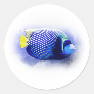 Tropical Paradise Sea Blue Fish Watercolour Classic Round Sticker