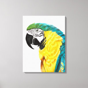 Tropical Parrot Bird Canvas Print
