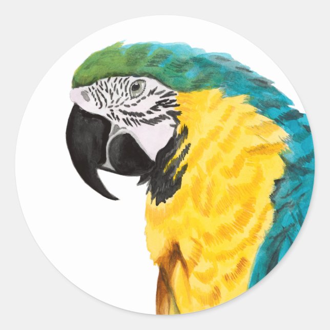 Tropical Parrot Bird Classic Round Sticker (Front)