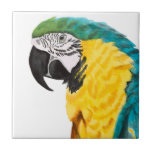 Tropical Parrot Bird Tile<br><div class="desc">Tropical Parrott Bird. Artist: Naomi McCavitt. Image ID: 145976Z.</div>