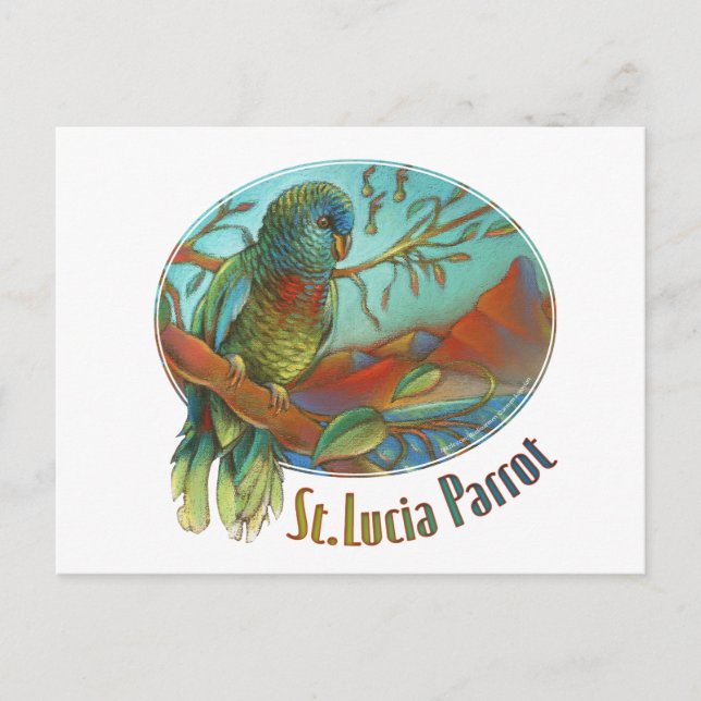 Tropical Parrot of St Lucia Postcard (Front)