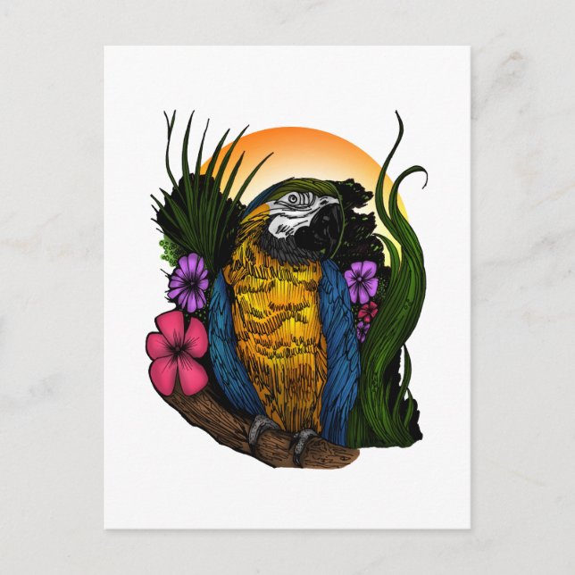 Tropical Parrot Postcard (Front)