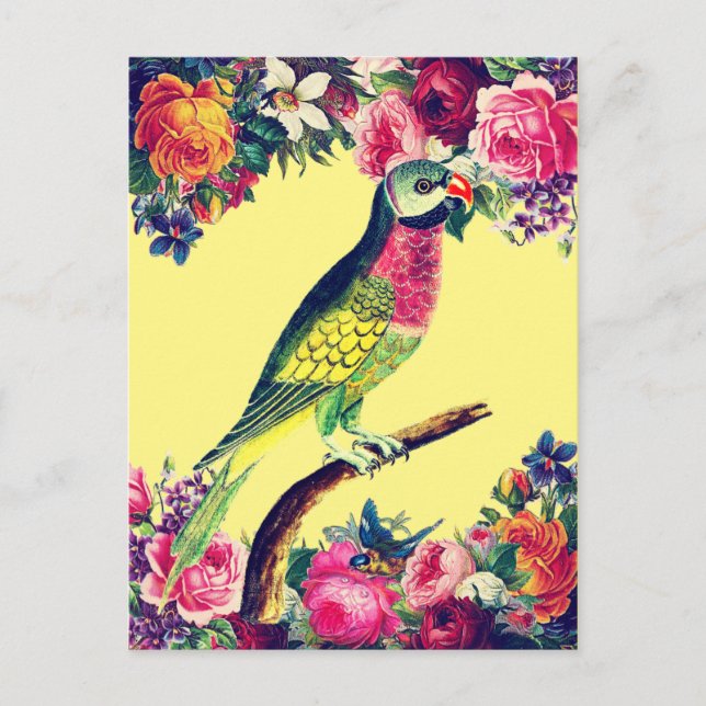 Tropical Parrot Vintage Design Postcard (Front)