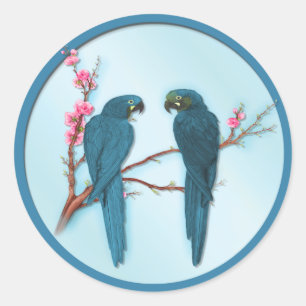 Tropical Parrots Classic Round Sticker