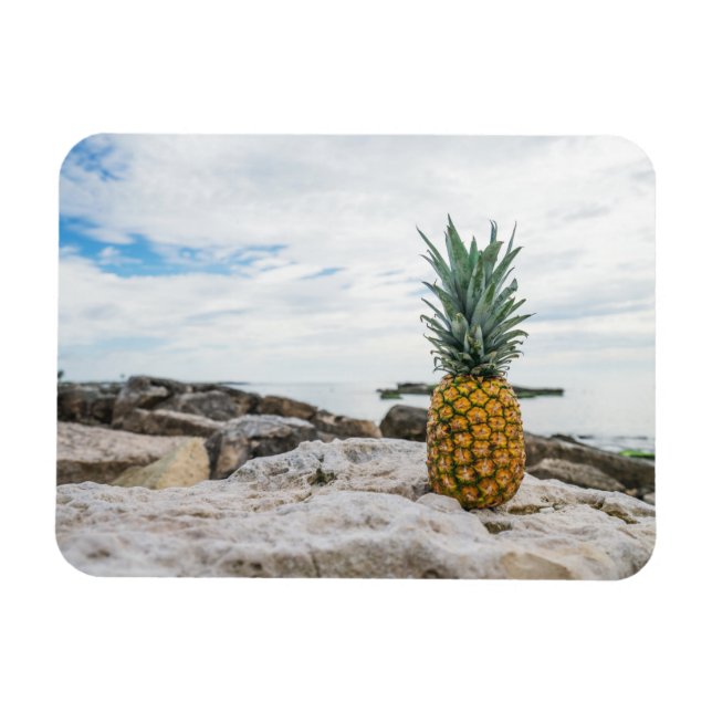 Tropical Pineapple at the Beach Magnet (Horizontal)