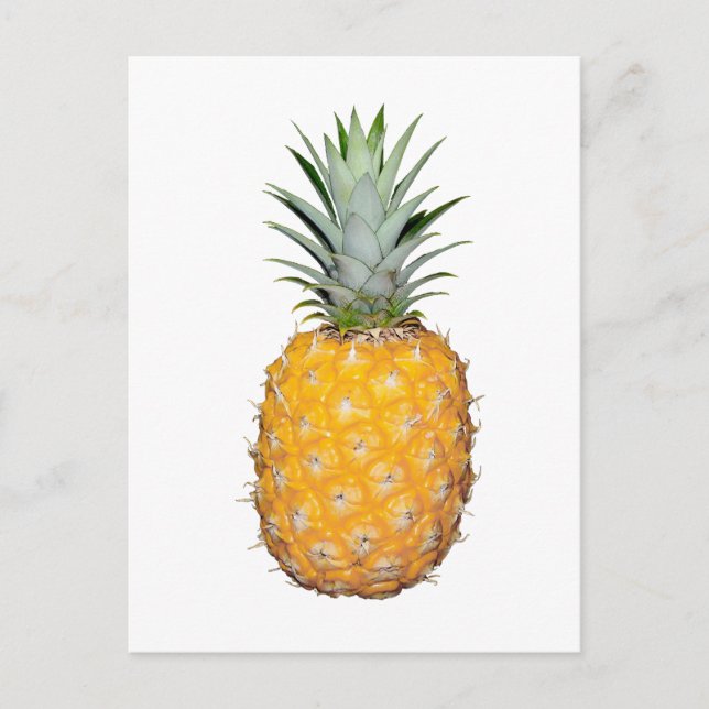 Tropical pineapple postcard (Front)