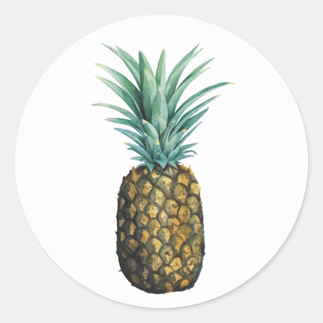 Tropical Pineapple Watercolor Classic Round Sticker (Front)