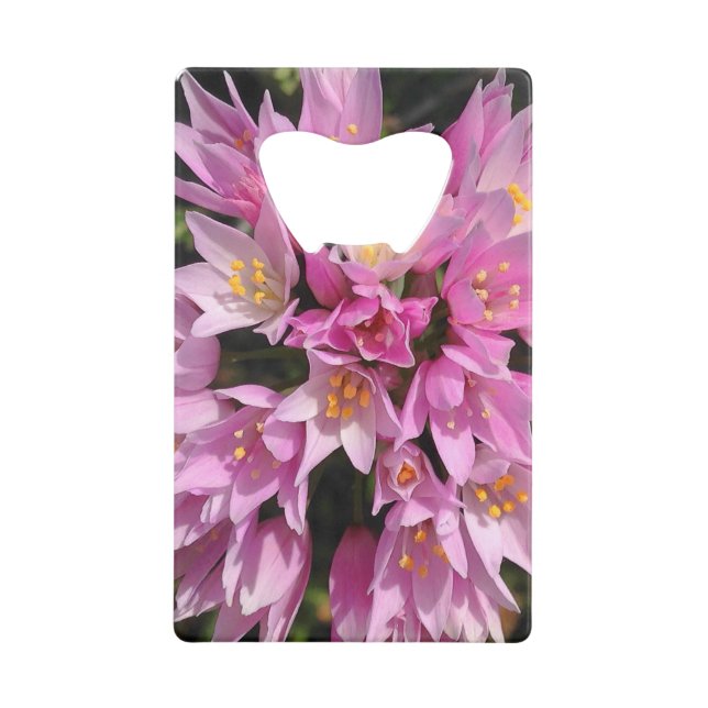 Tropical Pink and Yellow Flowers (Front)