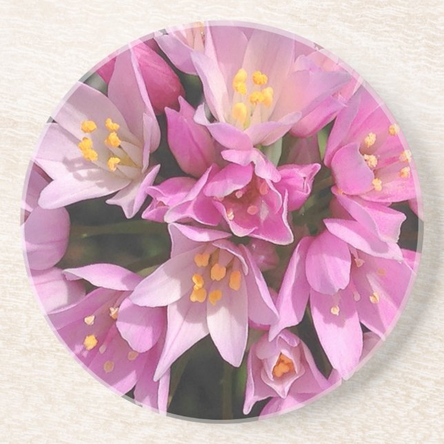 Tropical Pink and Yellow Flowers Coaster (Front)