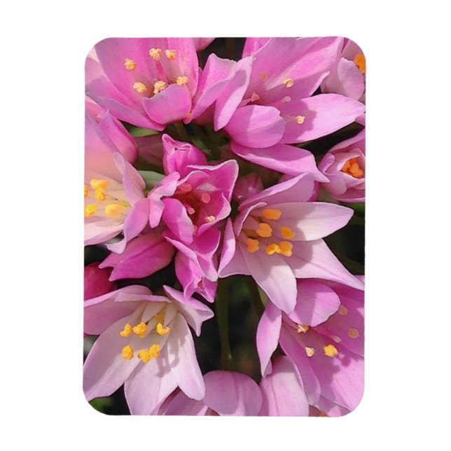 Tropical Pink and Yellow Flowers Magnet (Vertical)