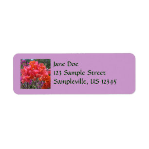 Tropical Pink Bougainvillea Island Floral