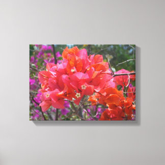 Tropical Pink Bougainvillea Island Floral Canvas Print