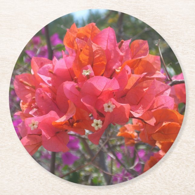 Tropical Pink Bougainvillea Island Floral Round Paper Coaster (Front)