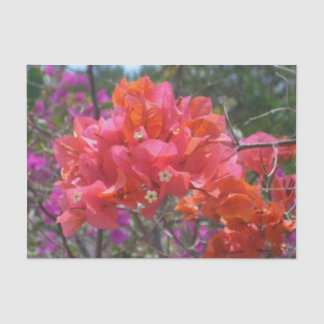 Tropical Pink Bougainvillea Island Floral Tissue Paper