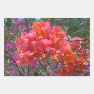 Tropical Pink Bougainvillea Island Floral Wrapping Paper Sheet
