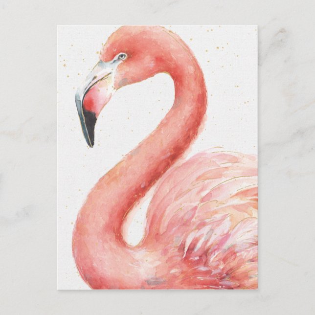 Tropical | Pink Flamingo Postcard (Front)