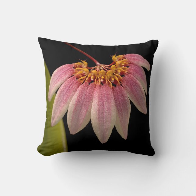 Tropical Pink Orchid Cushion (Front)