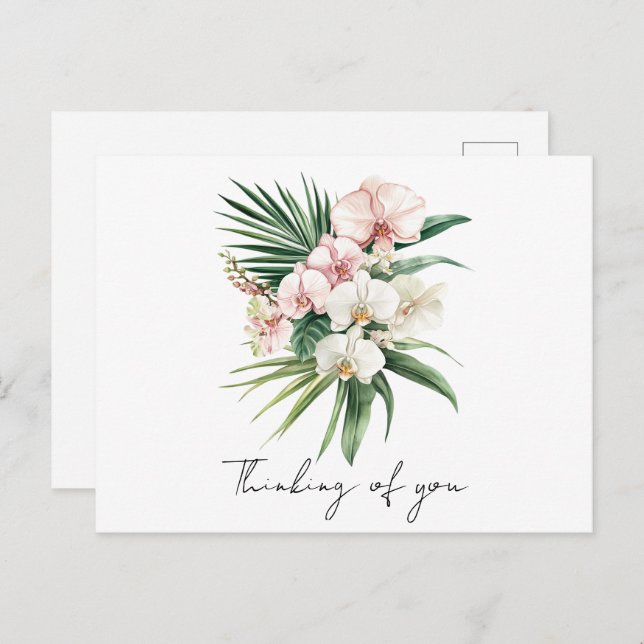 Tropical Pink Orchid Flowers Postcard (Front/Back)