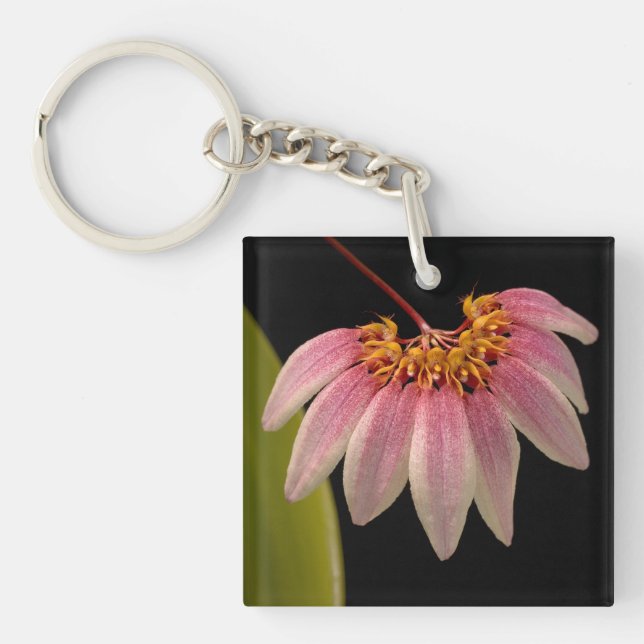 Tropical Pink Orchid Key Ring (Front)