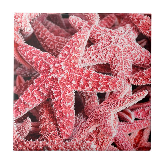 Tropical Pink Starfish Tile (Front)
