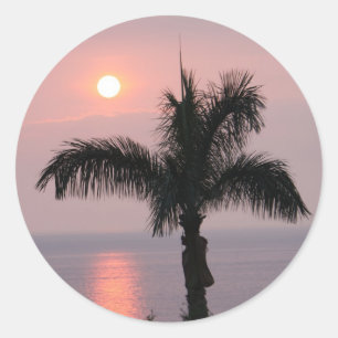 Tropical Pink Sunset and Palm Classic Round Sticker