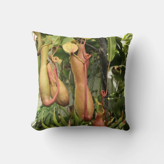 Tropical Pitcher Plant Cushion (Front)