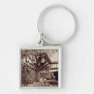 Tropical Plants in the Egyptian Room, Crystal Pala Key Ring