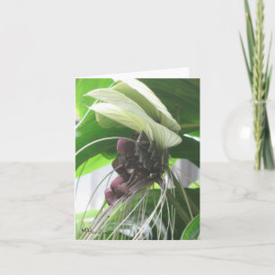 Tropical Plants Note Cards