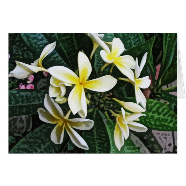 Tropical Plumeria Card (Front Horizontal)