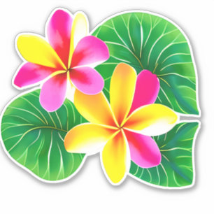Tropical Plumeria Flowers