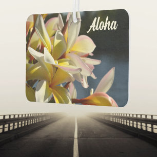 Tropical Plumeria Frangipani Flowers Floral Aloha Car Air Freshener