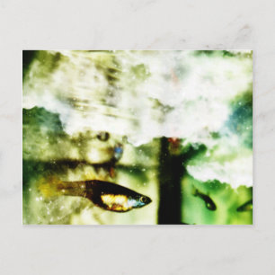 Tropical Postcard