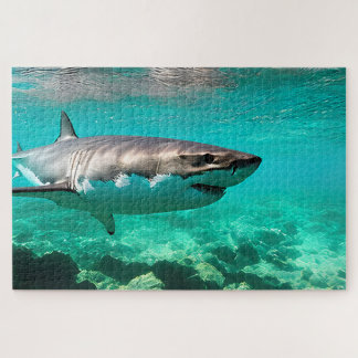 Tropical Predator: Great White Shark Jigsaw Puzzle