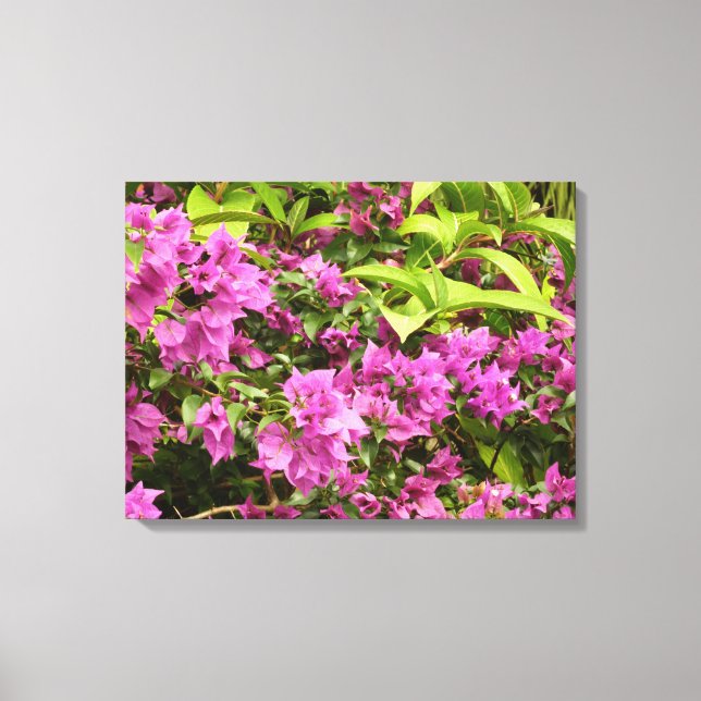 Tropical Purple Bougainvillea Floral Canvas Print (Front)