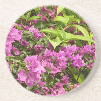 Tropical Purple Bougainvillea Floral Coaster