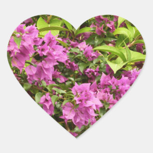 Tropical Purple Bougainvillea Floral Heart Sticker